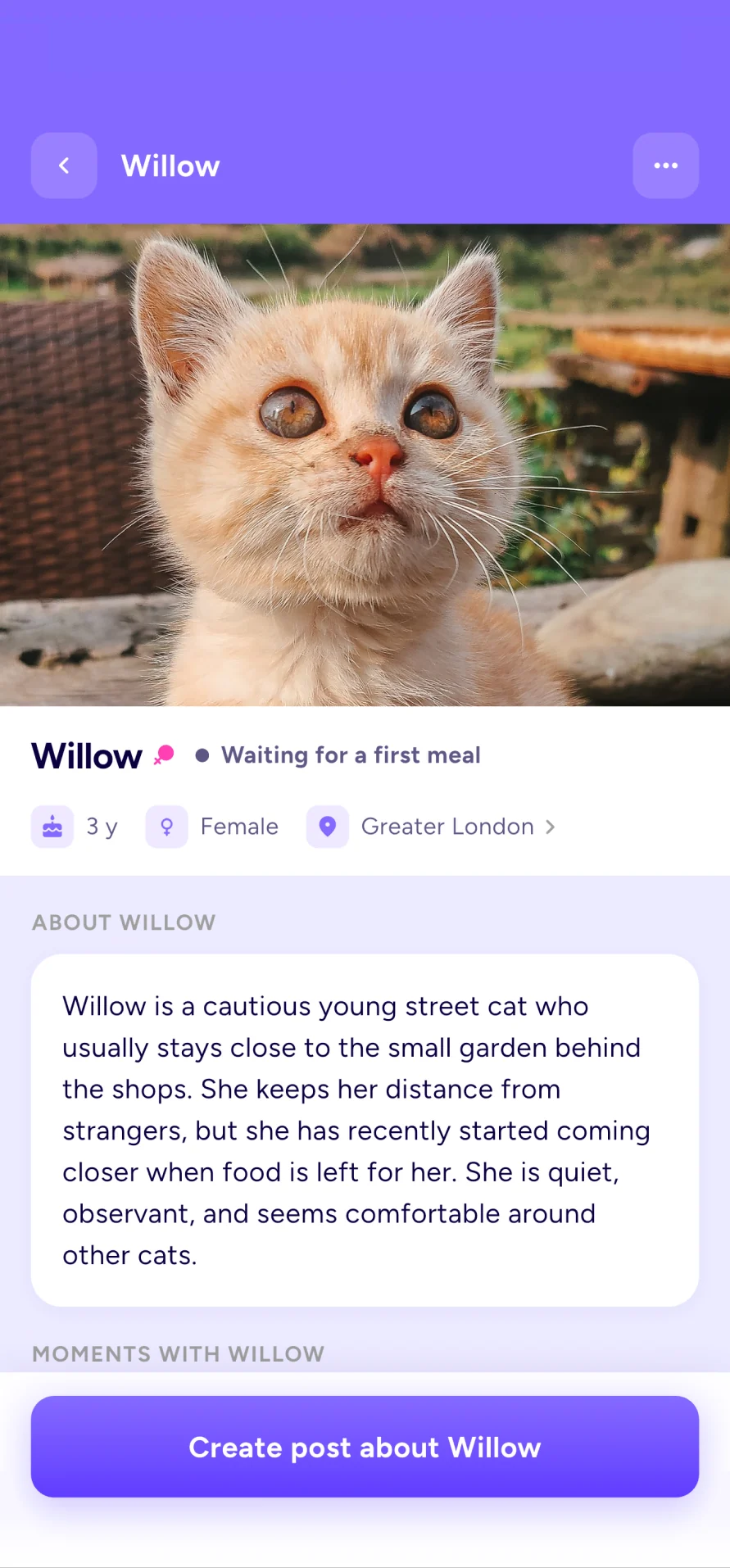 A cat profile in the WellFedCats app
