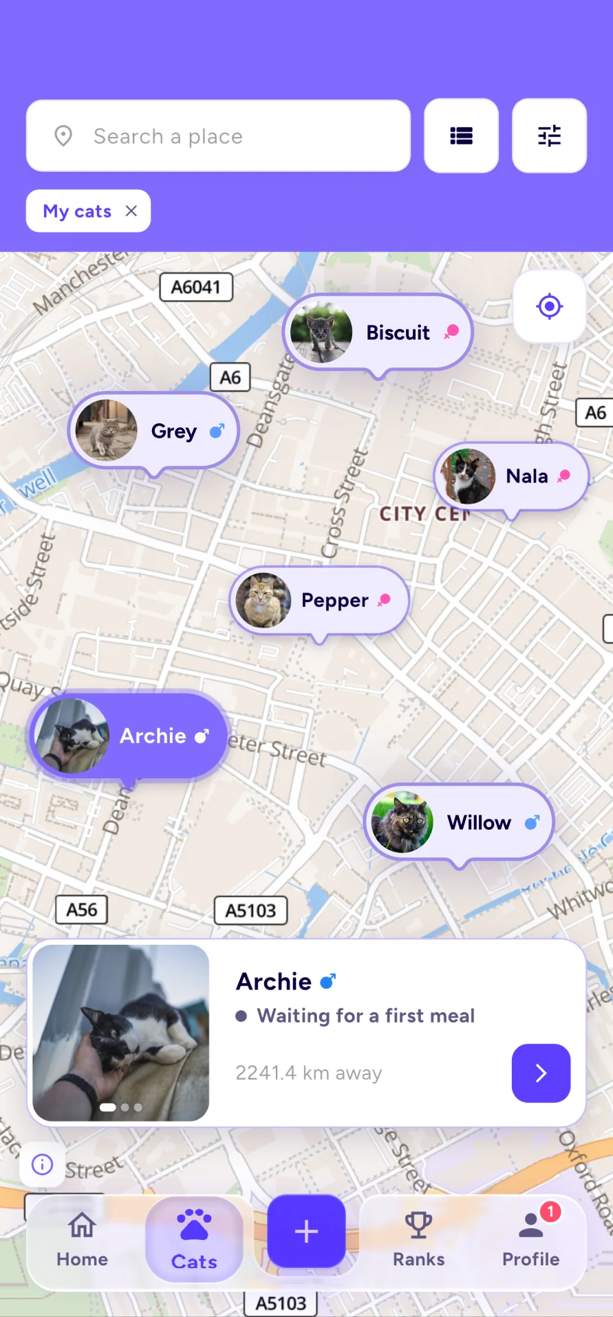 The cat map in the WellFedCats app