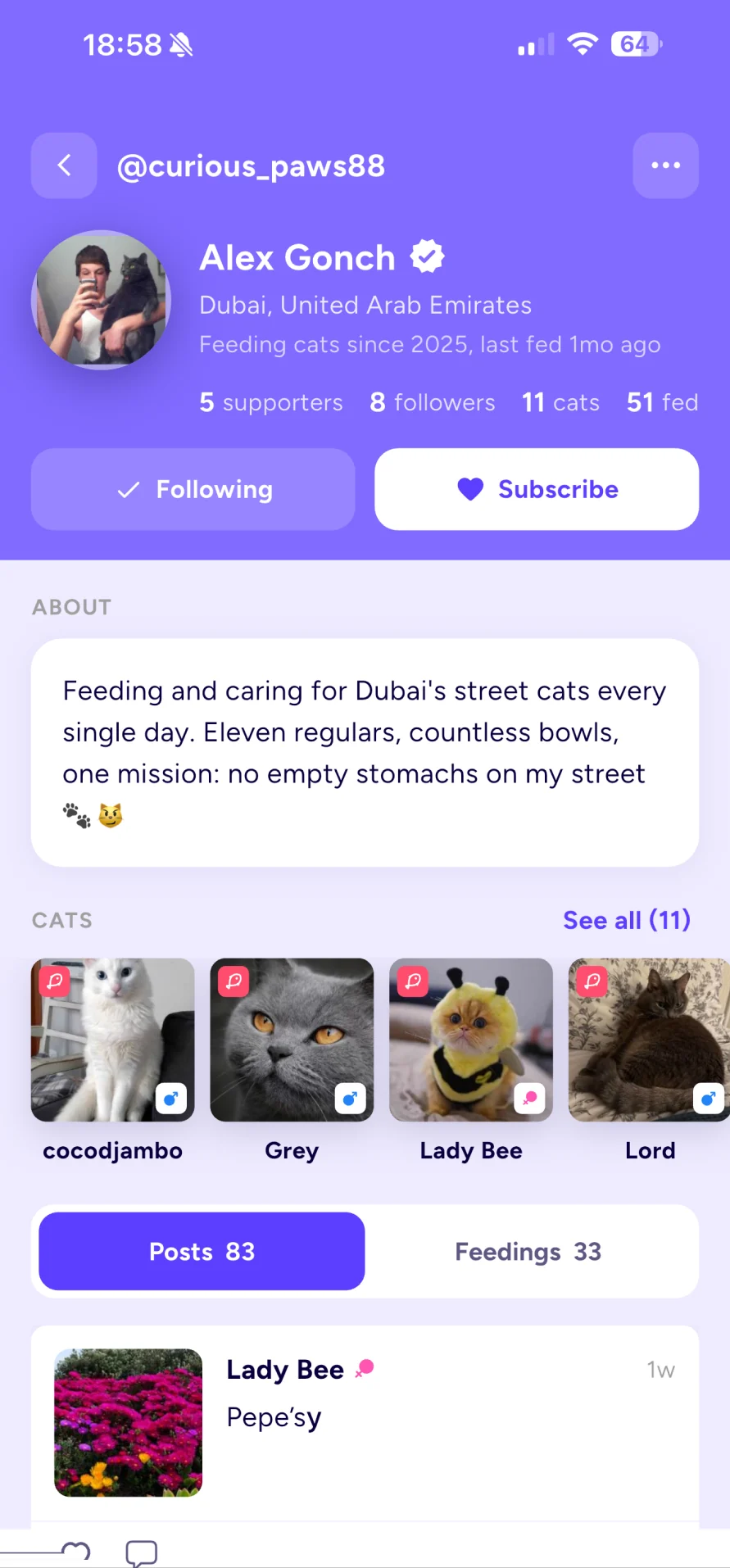 A feeder profile in the WellFedCats app