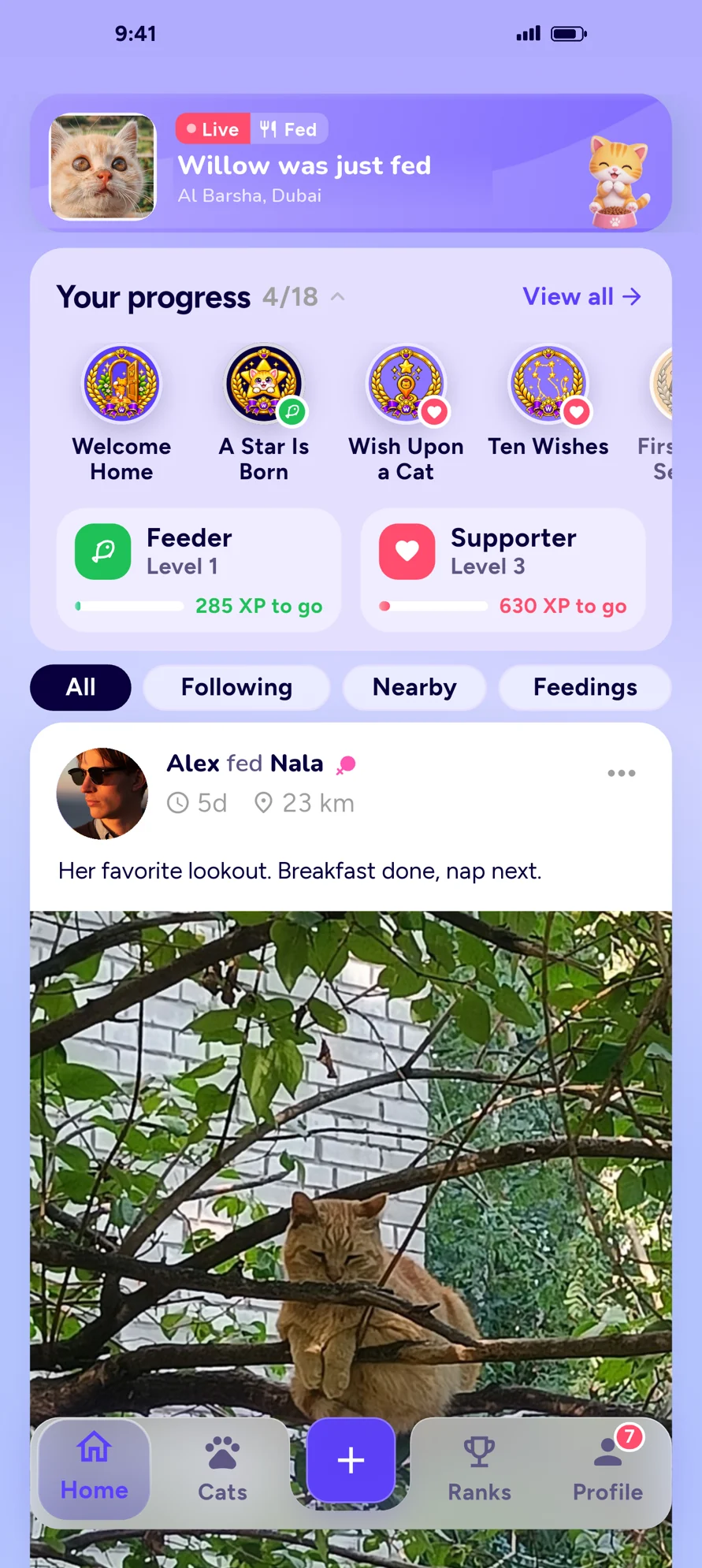 The live home feed in the WellFedCats app